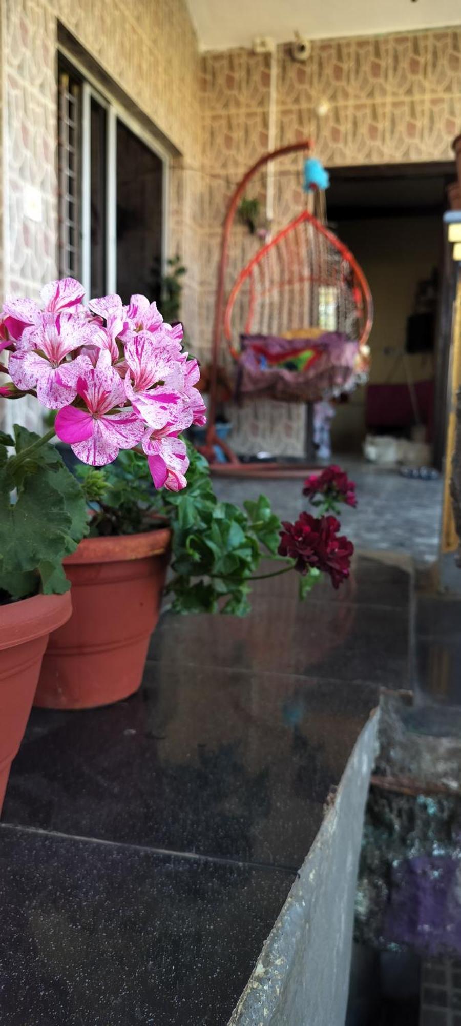 Royal Palm Homestay Madikeri Esterno foto