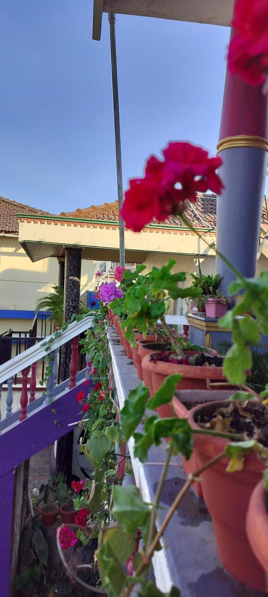 Royal Palm Homestay Madikeri Esterno foto