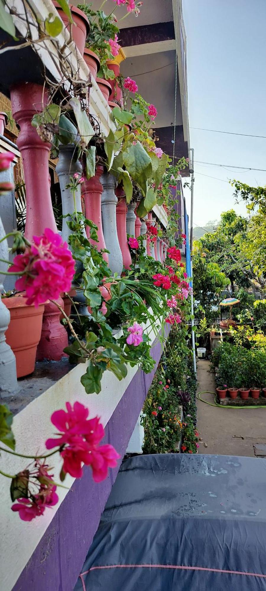 Royal Palm Homestay Madikeri Esterno foto