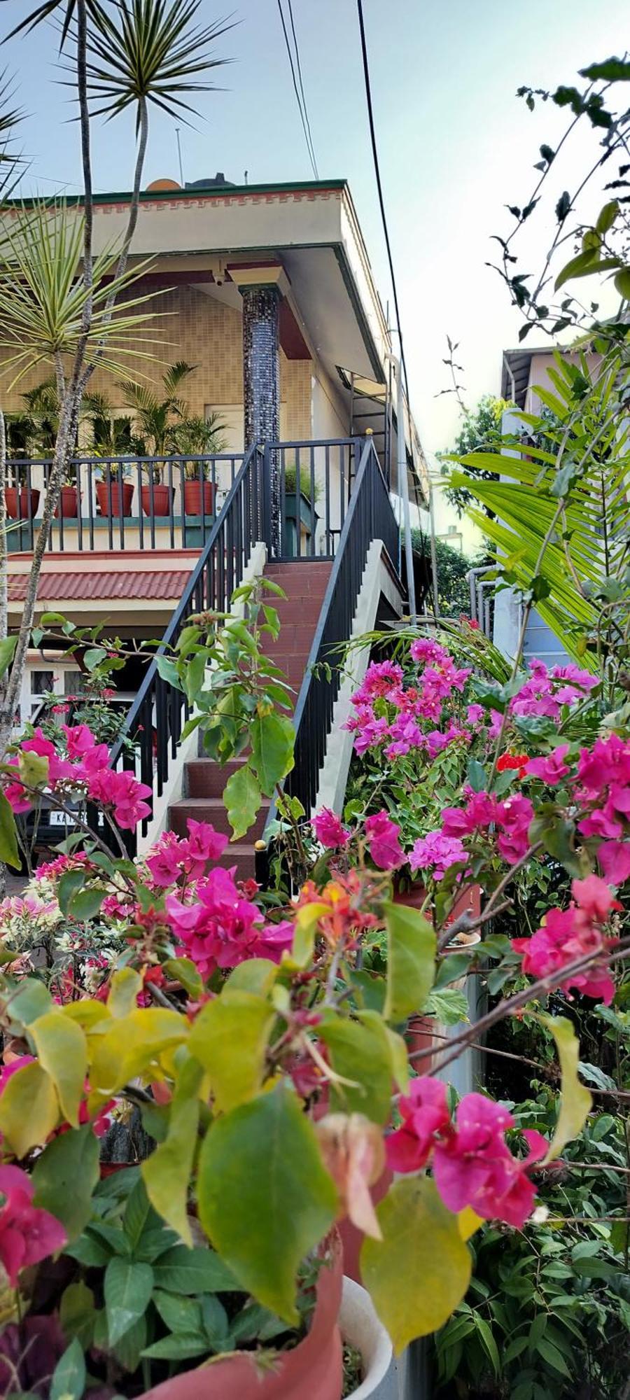 Royal Palm Homestay Madikeri Esterno foto