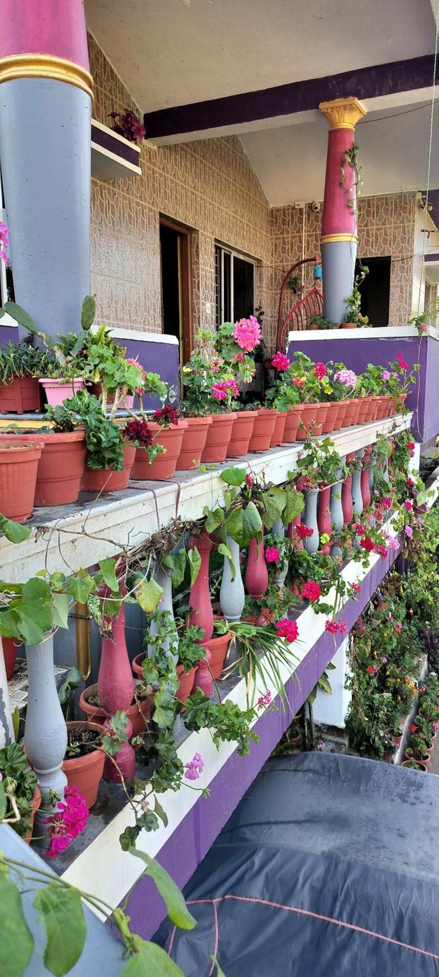 Royal Palm Homestay Madikeri Esterno foto